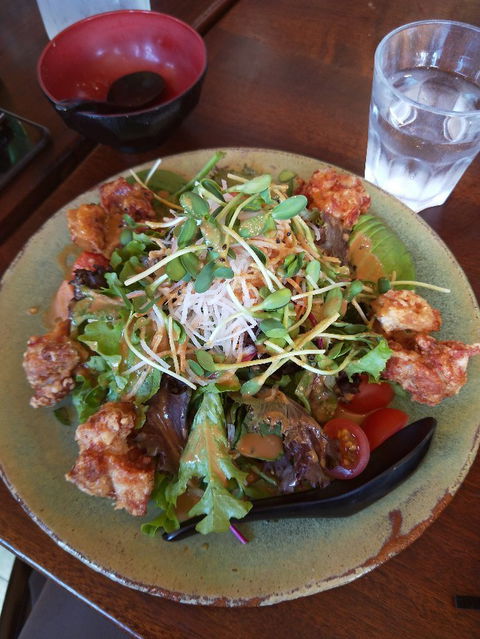 O-Sushi - Accommodation Ballina 7