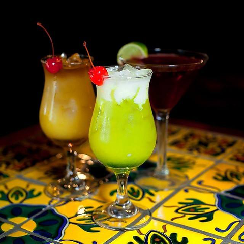 Cactus Jack’s - Accommodation Ballina 1