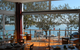 Mekong Thai–Lao Restaurant - thumb 4