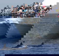 MoonshadowTQC Cruises - Accommodation Ballina
