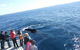 Moonshadow–TQC Cruises - thumb 1