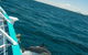 Moonshadow–TQC Cruises - thumb 3