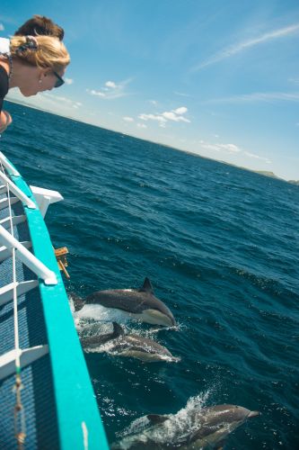 Moonshadow–TQC Cruises - Accommodation Ballina 3