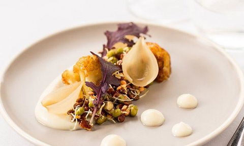 Cream - Accommodation Ballina 9