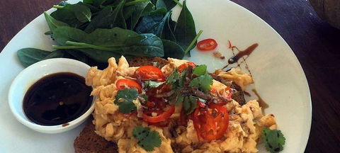 The Shack Superfood Cafe - Accommodation Ballina 3