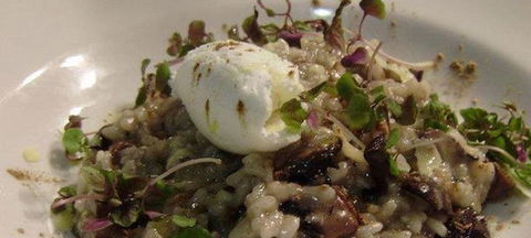 East Ridge Platinum Cafe And Restaurant - Accommodation Ballina 3