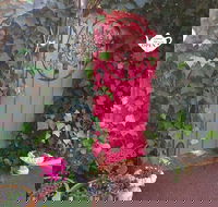 Secret Garden Adult Devonshire Tea House - Accommodation Ballina