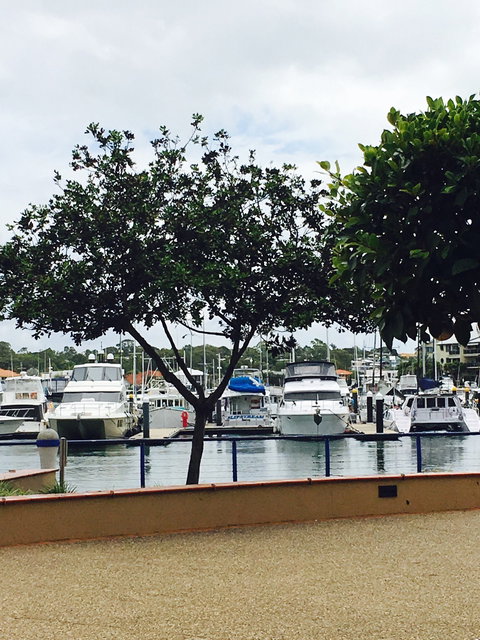 Fiction Bar & Restaurant - Accommodation Ballina 2