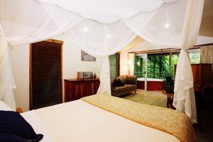 Daintree Eco Lodge & Spa - Accommodation Ballina 1