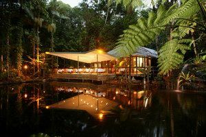Daintree Eco Lodge & Spa - Accommodation Ballina 2