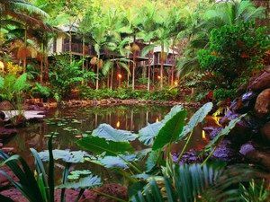 Daintree Eco Lodge & Spa - Accommodation Ballina 0