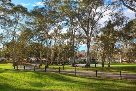 Discovery Parks - Clare - Accommodation Ballina 19