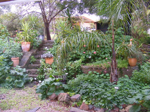 Trevalia Accommodation - Accommodation Ballina 12