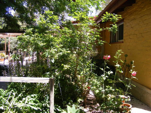 Trevalia Accommodation - Accommodation Ballina 7