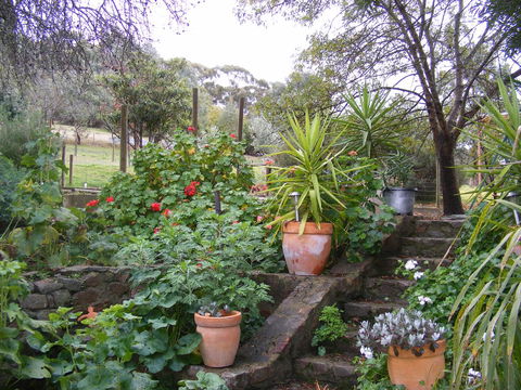 Trevalia Accommodation - Accommodation Ballina 13