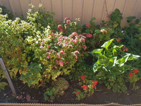 Tanunda\'s Magpie House - Accommodation Ballina 24
