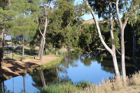 Hillside Cottage - Accommodation Ballina 11