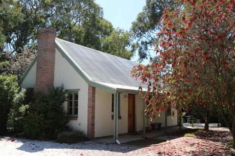 Tanunda Cottages - Accommodation Ballina 1