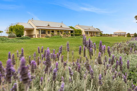 Barossa Vineyard Cottages - Accommodation Ballina 10