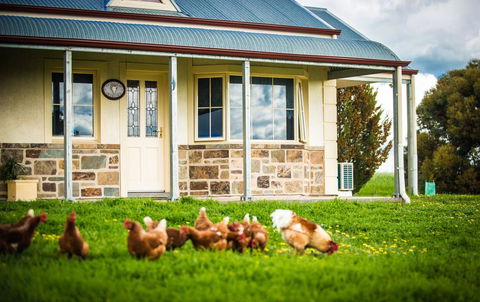 Barossa Vineyard Cottages - Accommodation Ballina 40