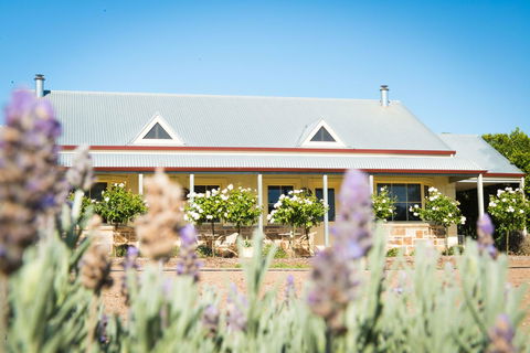 Barossa Vineyard Cottages - Accommodation Ballina 3