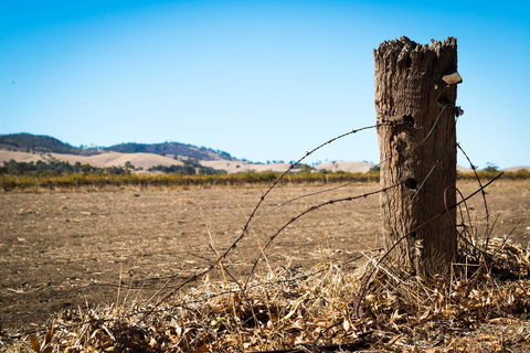 Barossa Vineyard Cottages - Accommodation Ballina 5