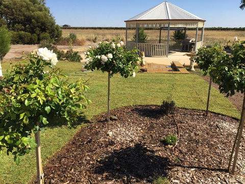 Barossa Vineyard Cottages - Accommodation Ballina 43