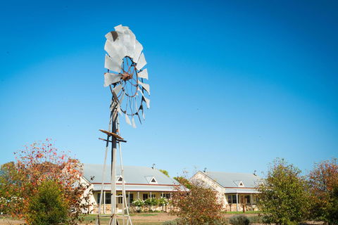 Barossa Vineyard Cottages - Accommodation Ballina 6