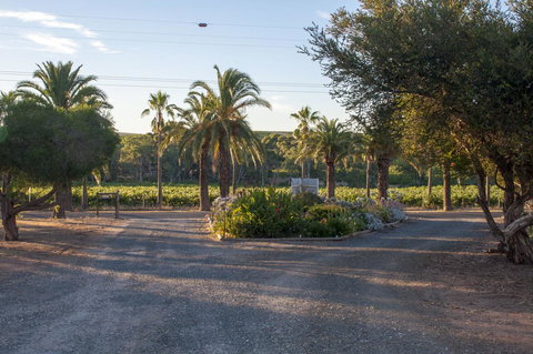 Seppelts View Cabins - Accommodation Ballina 3