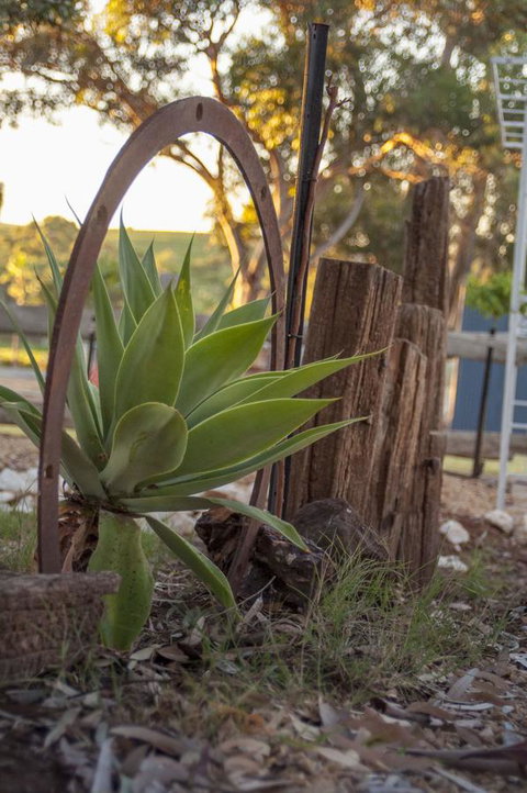 Seppelts View Cabins - Accommodation Ballina 37