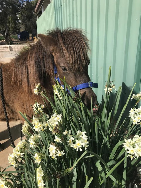 Seppelts View Cabins - Accommodation Ballina 14