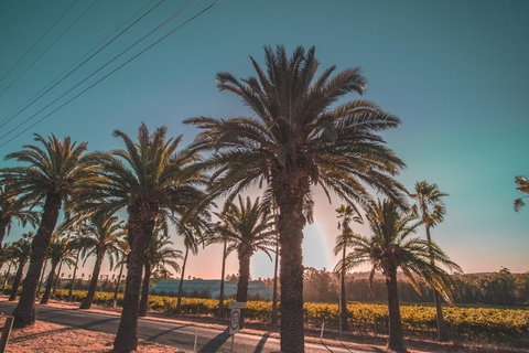 Seppelts View Cabins - Accommodation Ballina 18