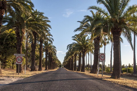 Seppelts View Cabins - Accommodation Ballina 43