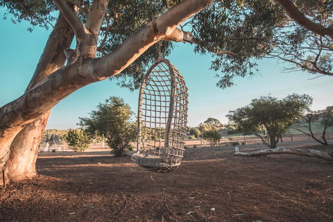 Seppelts View Cabins - Accommodation Ballina 15