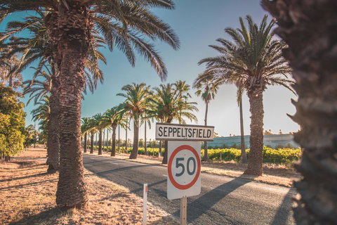 Seppelts View Cabins - Accommodation Ballina 6