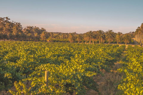 Seppelts View Cabins - Accommodation Ballina 8