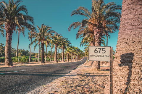 Seppelts View Cabins - Accommodation Ballina 16