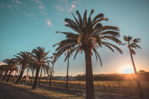 Seppelts View Cabins - Accommodation Ballina 2