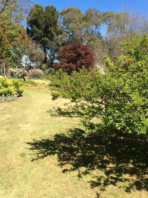 Kit Kat Cottage - Heritage Accommodation Burra - Accommodation Ballina 6