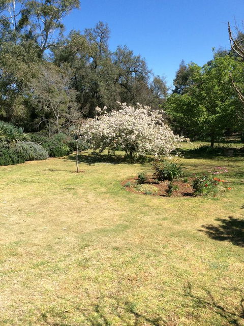 Kit Kat Cottage - Heritage Accommodation Burra - Accommodation Ballina 5