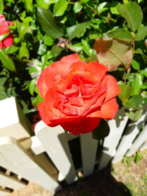 Blyth Cottage Burra - Accommodation Ballina 23