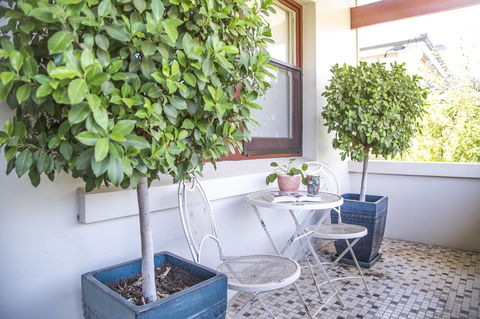 Mataro Cottage - Accommodation Ballina 2