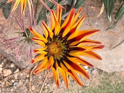 Aussie Opal Diggers Outback Retreat-Undergound - Accommodation Ballina 26