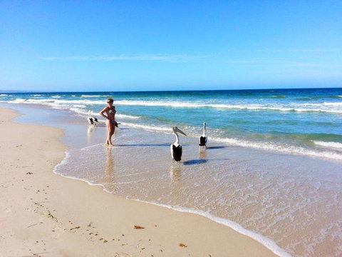 Atlantic West Beach Apartments - Accommodation Ballina 22