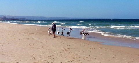 Atlantic West Beach Apartments - Accommodation Ballina 20