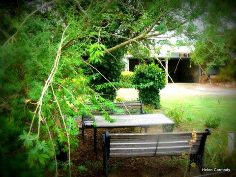 The Pig And Whistle - Accommodation Ballina 16