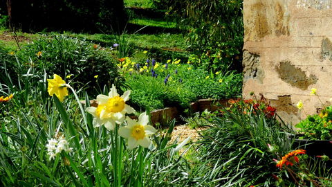 The Pig And Whistle - Accommodation Ballina 20