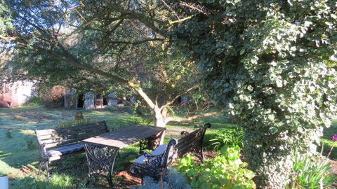 The Pig And Whistle - Accommodation Ballina 14