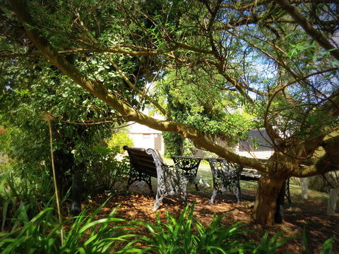 The Pig And Whistle - Accommodation Ballina 4
