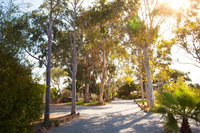 Book Tumby Bay Accommodation Vacations Accommodation Ballina Accommodation Ballina